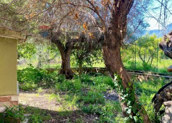 Giardino - Villa via Terre Bianche
 
12, Trabia - photo 17