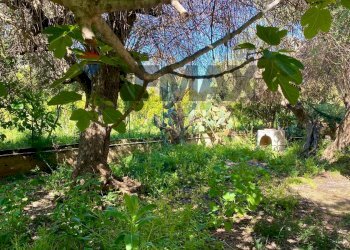 Giardino - Villa via Terre Bianche
 
12, Trabia - photo 24