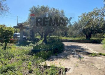 Giardino - Villa via Terre Bianche
 
12, Trabia - photo 29