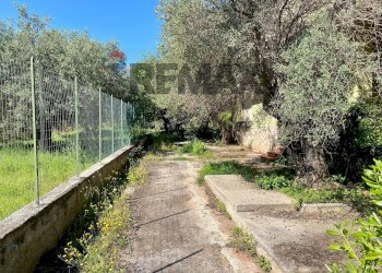 Giardino - Villa via Terre Bianche
 
12, Trabia - photo 34