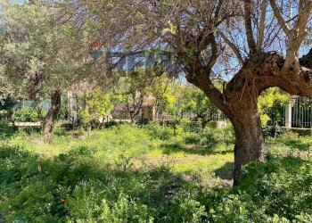 Giardino - Villa via Terre Bianche
 
12, Trabia - photo 35