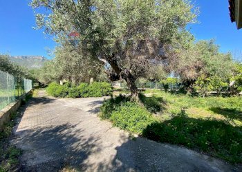 Giardino - Villa via Terre Bianche
 
12, Trabia - photo 38