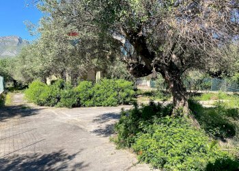 Giardino - Villa via Terre Bianche
 
12, Trabia - photo 41