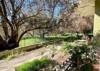 Giardino - Villa via Terre Bianche
 
12, Trabia - photo 45