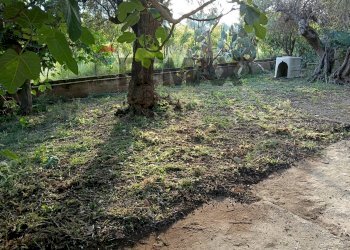 Giardino - Villa via Terre Bianche
 
20, Trabia - photo 12