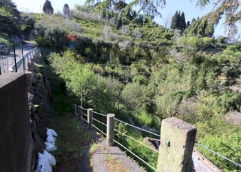 Giardino - Terreno agricolo Via Etnea
 
snc, Mascali - foto 9