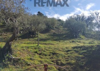 Vista delle montagne - Villa contrada gruppazzi, Piazza Armerina - foto 13