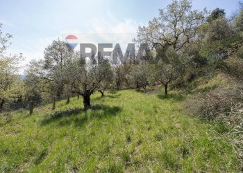 Giardino - Casa indipendente San Bartolo
 
7A, Serra San Quirico - foto 32