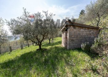 Giardino - Casa indipendente San Bartolo
 
7A, Serra San Quirico - foto 33