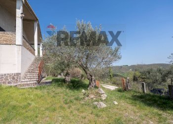 Giardino - Casa indipendente San Bartolo
 
7A, Serra San Quirico - foto 34