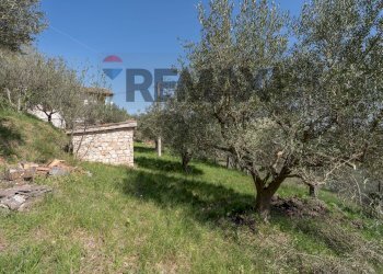 Giardino - Casa indipendente San Bartolo
 
7A, Serra San Quirico - foto 35