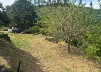 Giardino - Rustico contrada mortilli, Calatabiano - foto 11