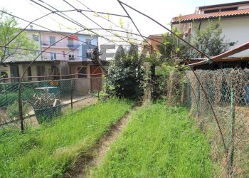 Giardino - Trilocale VITTORIO VENETO
 
32, Bonate Sotto - foto 12