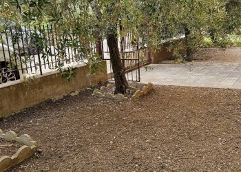 Foto 41 - Appartamento località Rosciano, Fano - foto 41