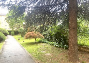 Foto 20 - Quadrilocale VIA SALVEMINI, Rivoli - foto 20