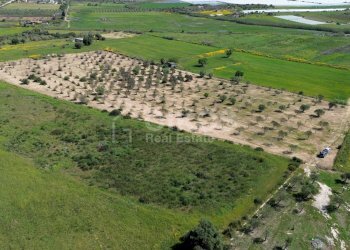 Foto 6 - Rustic contrada cuba, Noto - photo 6