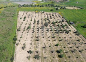 Foto 10 - Rustic contrada cuba, Noto - photo 10