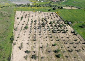 Foto 13 - Rustic contrada cuba, Noto - photo 13