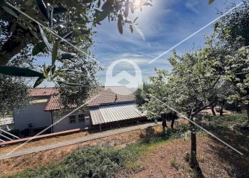 Foto 20 - Semi-detached house Località Case Sparse
 
12, Borghetto Santo Spirito - photo 20