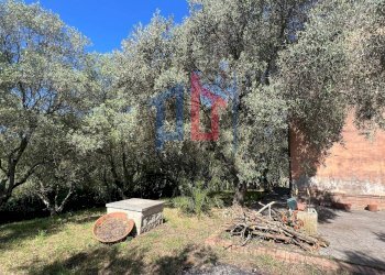 Foto 9 - Villa via delle acacie
 
7, Aprilia - foto 9