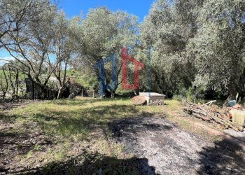 Foto 91 - Villa via delle acacie
 
7, Aprilia - foto 91