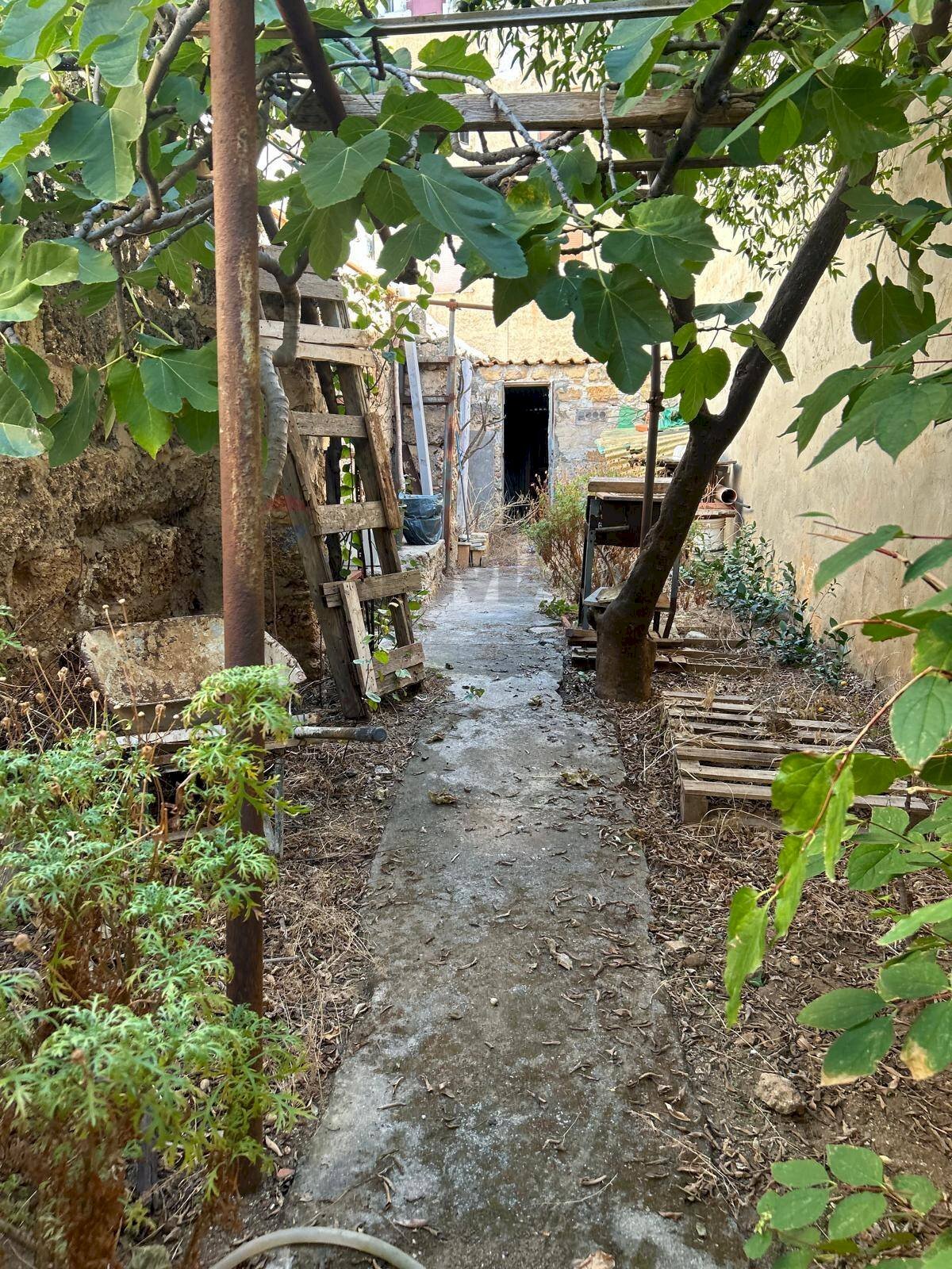 Giardino - Casa semi indipendente Palermo - foto 1