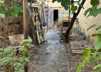 Giardino - Casa semi indipendente Palermo - foto 1