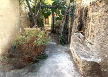 Giardino - Casa semi indipendente Palermo - foto 2