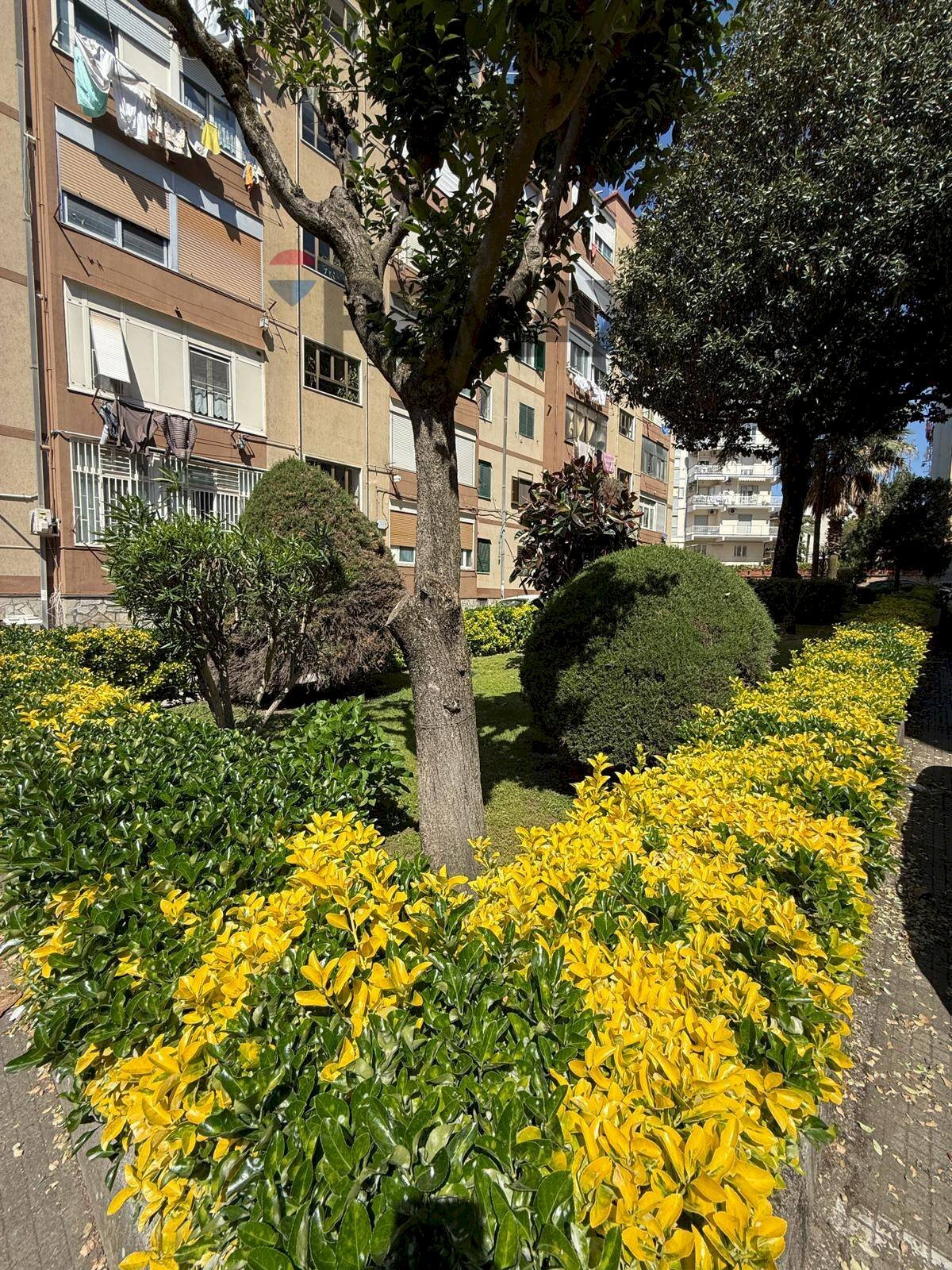 Edificio all\'aperto - Quadrilocale Napoli - foto 2