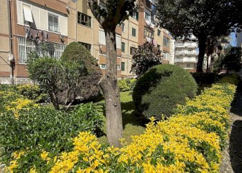 Edificio all\'aperto - Quadrilocale Napoli - foto 2