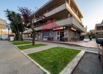 Foto 1 - Bar Tavola Calda - Fredda via salvo d'acquisto
 
60, Pomezia - foto 1