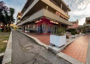 Foto 3 - Bar Tavola Calda - Fredda via salvo d'acquisto
 
60, Pomezia - foto 3