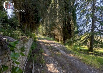 Foto 10 - Villa via di Terzano
 
10, Bagno a Ripoli - foto 10