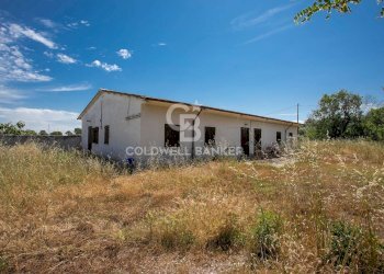 Foto 4 - Villa Località Campomorto, Montalto di Castro - foto 4