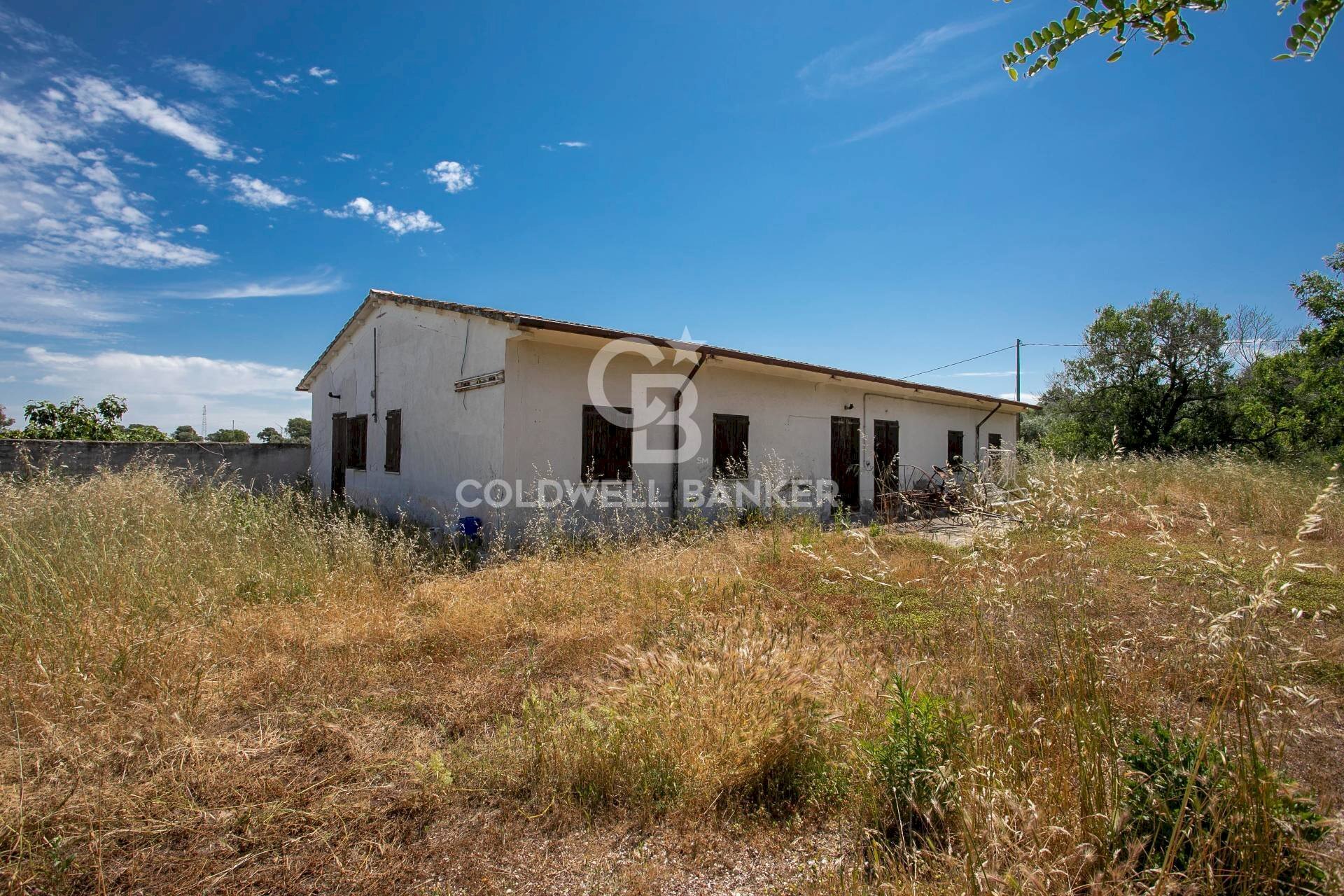 Foto 1 - Villa Località Campomorto, Montalto di Castro - foto 1