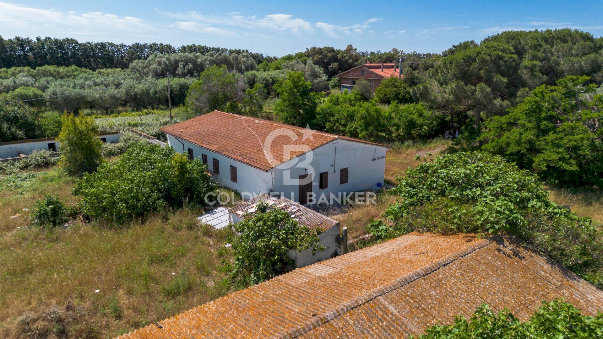 Foto 3 - Villa Località Campomorto, Montalto di Castro - foto 3