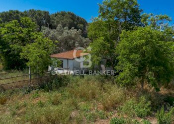Foto 4 - Villa Località Campomorto, Montalto di Castro - foto 4