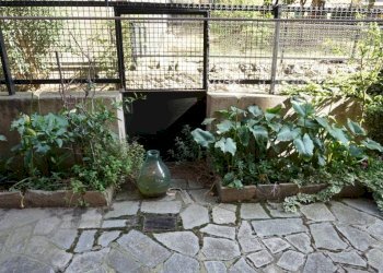 Giardino - Trilocale Mura degli Angeli, 11A, Genova (zona San Teodoro) - foto 14