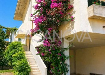 Giardino - Villa Tortoreto - foto 7