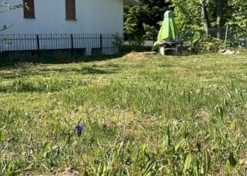Terreno - Rustico via Acqua Saporita, 30, Bagnolo Piemonte - foto 29