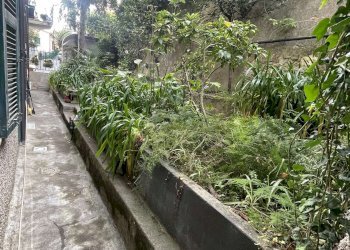 ESTERNO - Appartamento Via Missolungi, Genova (zona Nervi) - foto 14