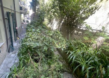 GIARDINO - Apartment Via Missolungi, Genova (neighborhood Nervi) - photo 1