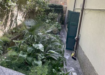 GIARDINO - Apartment Via Missolungi, Genova (neighborhood Nervi) - photo 2
