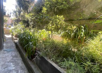 GIARDINO - Appartamento Via Missolungi, Genova (zona Nervi) - foto 2