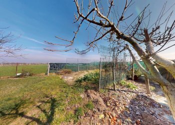 md2096-02232026_172538 - Independent house via Campiona, Medicina - photo 24