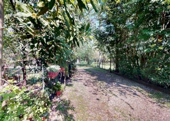 cs2109-03252026_110439 - Casa Colonica via Birbanteria, Castenaso - foto 31