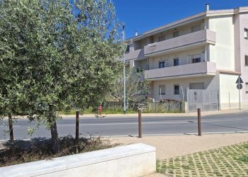 20260407_120048.jpg - Box Quartucciu - photo 13