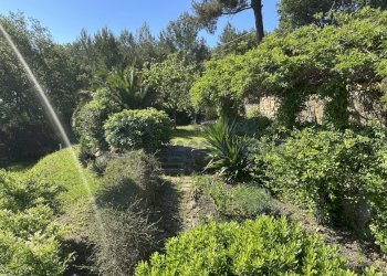 5.JPG - Villa Strada Provinciale 45, Cipressa - photo 6