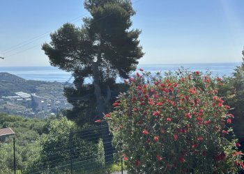 19.JPG - Villa Strada Provinciale 45, Cipressa - photo 16