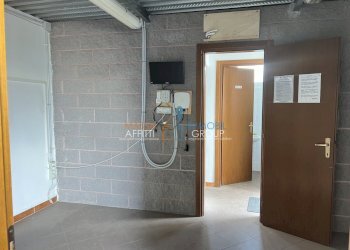 IMG_6572.jpeg - Shed Via Provinciale Avenza-Massa 194, hamlet Avenza, Carrara - photo 8